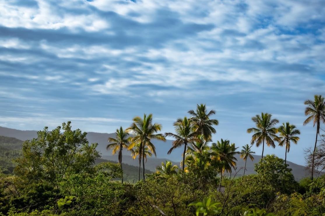 Belle-Anse, une ville entre tradition, nature et potentiel touristique Belle-Anse, une ville entre tradition, nature et potentiel touristique