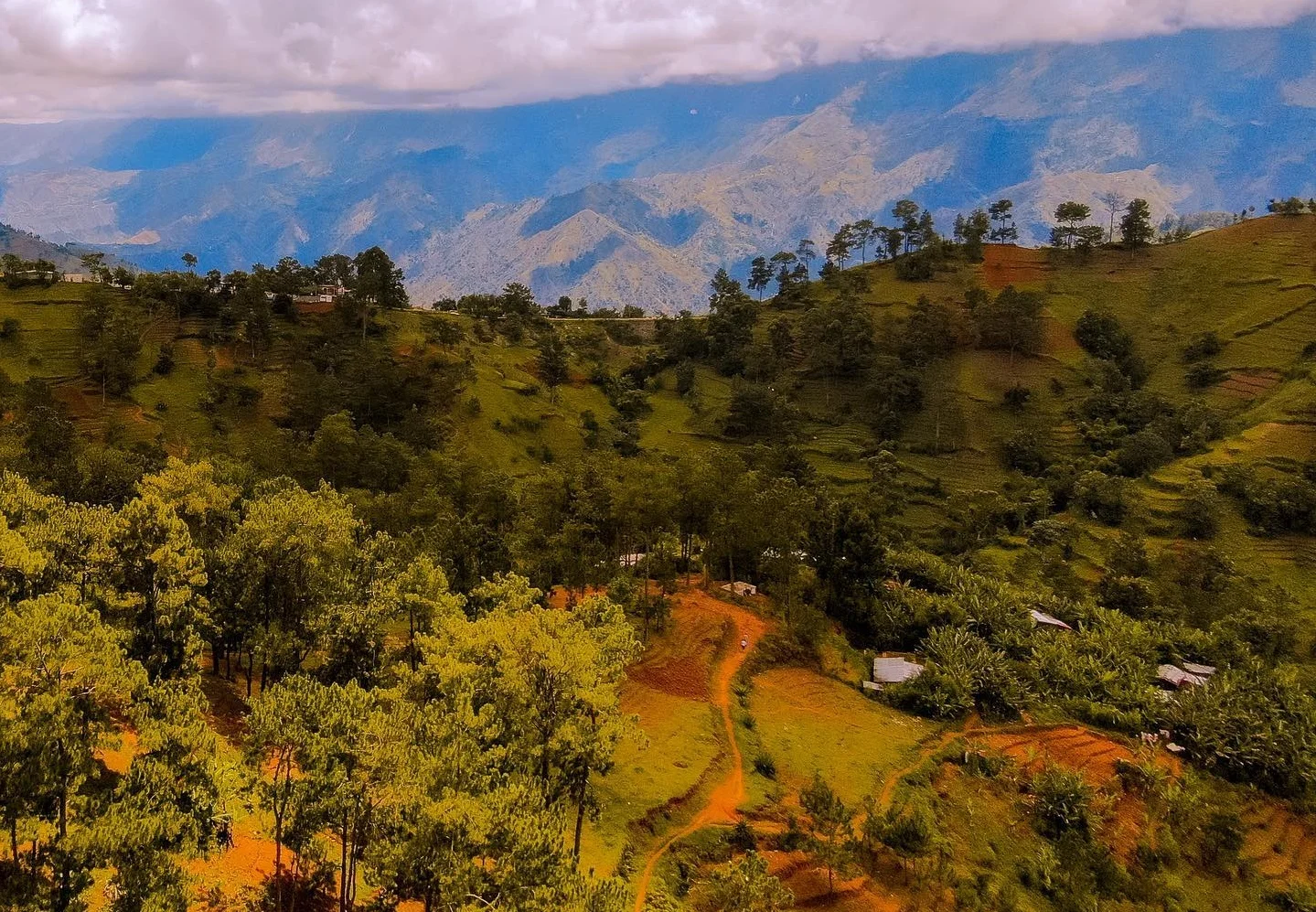 Fête du Travail en Haïti : L’Agriculture comme Levier Économique Fête du Travail en Haïti : L’Agriculture comme Levier Économique