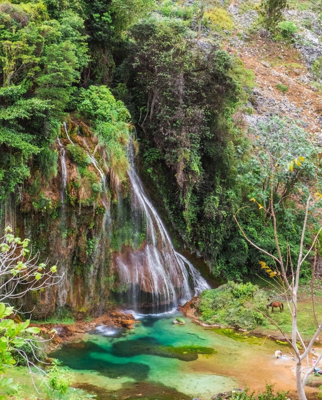 Haïti : Découvrez la Magie de la Cascade de Pichon à Belle-Anse : Un Trésor Naturel à Explorer Haïti : Découvrez la Magie de la Cascade de Pichon à Belle-Anse : Un Trésor Naturel à Explorer